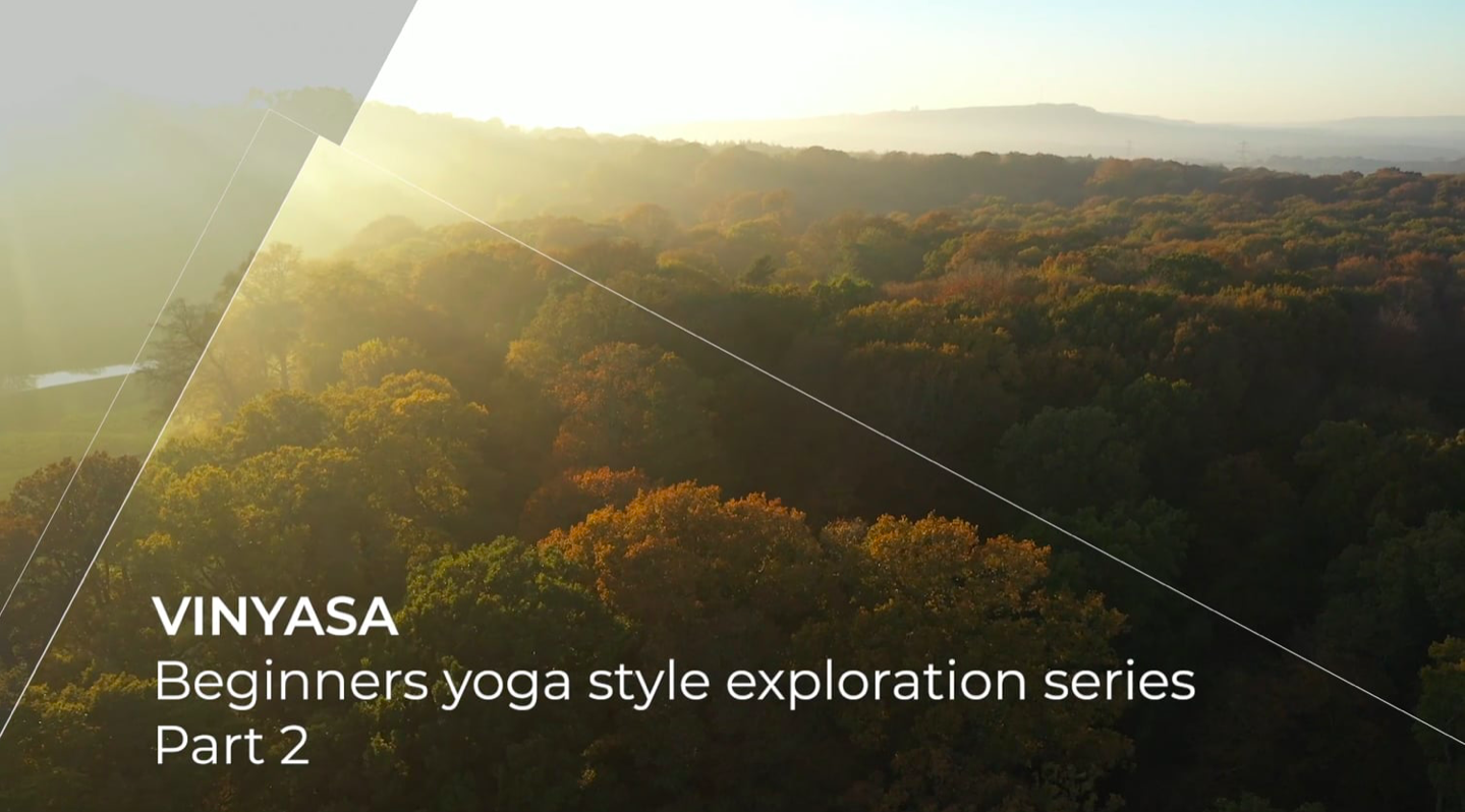 Beginners Yoga Style Exploration Series Part 2: Vinyasa