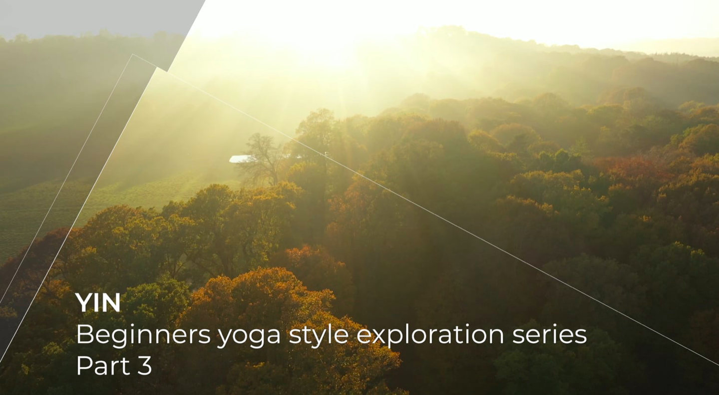 Beginners Yoga Style Exploration Series Part 3: Yin