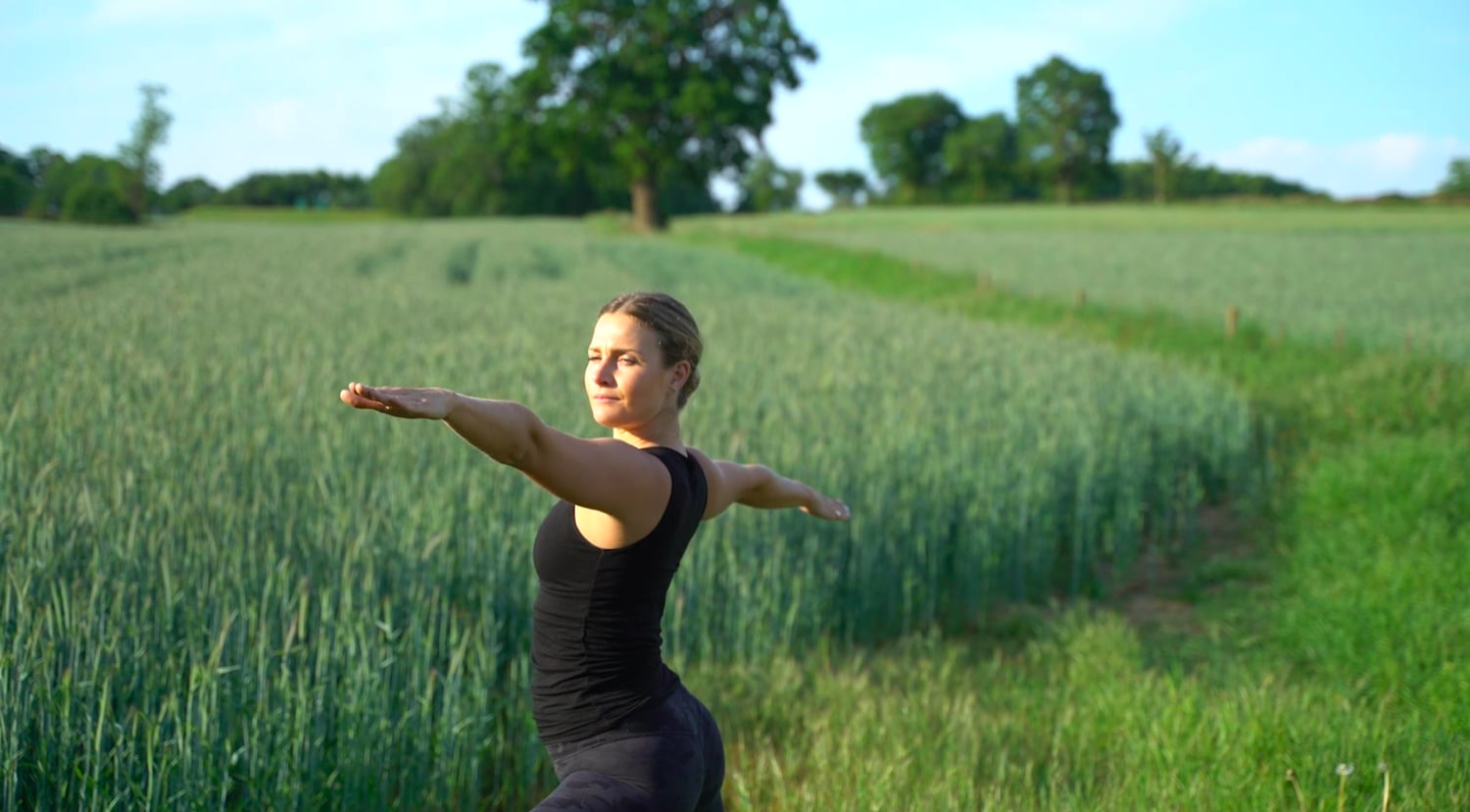 Vinyasa: Sun Salutation Series Flow Part 3