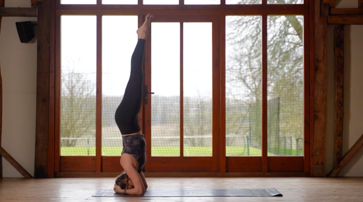 Vinyasa: Deepening Connection Between mind & Body