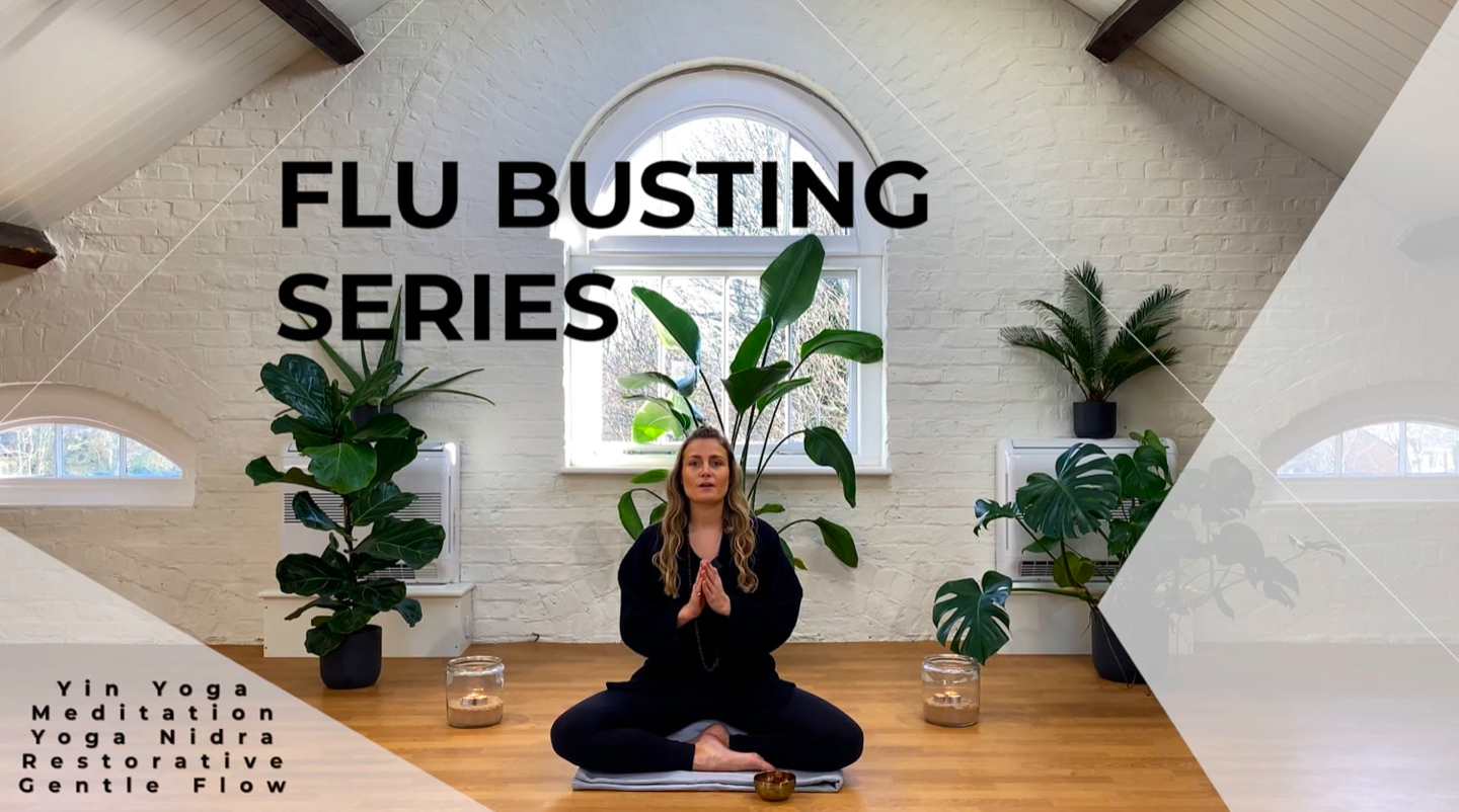 Flu Busting Series, Introduction