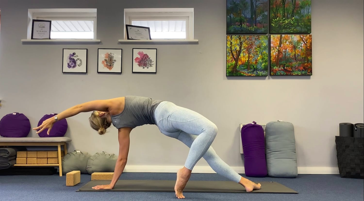 Vinyasa: Controlled dynamic full body